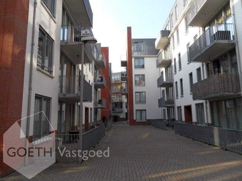 free-sector-houses for rent on Stratumsedijk